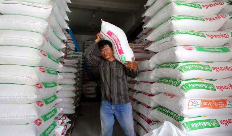 Cambodia earns $1.5 billion from rice exports